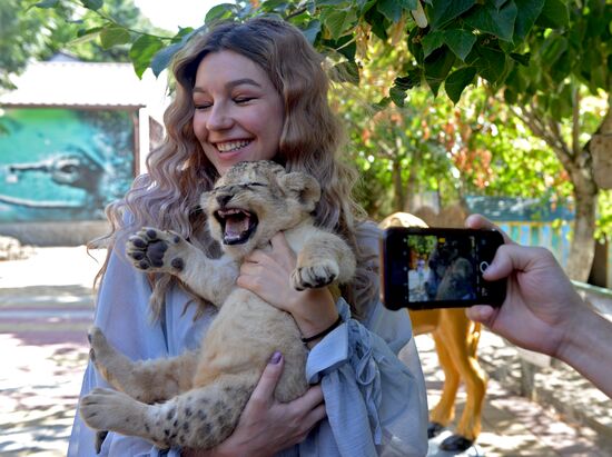 One of two newborn lion cubs shown at Stavropol Zoo