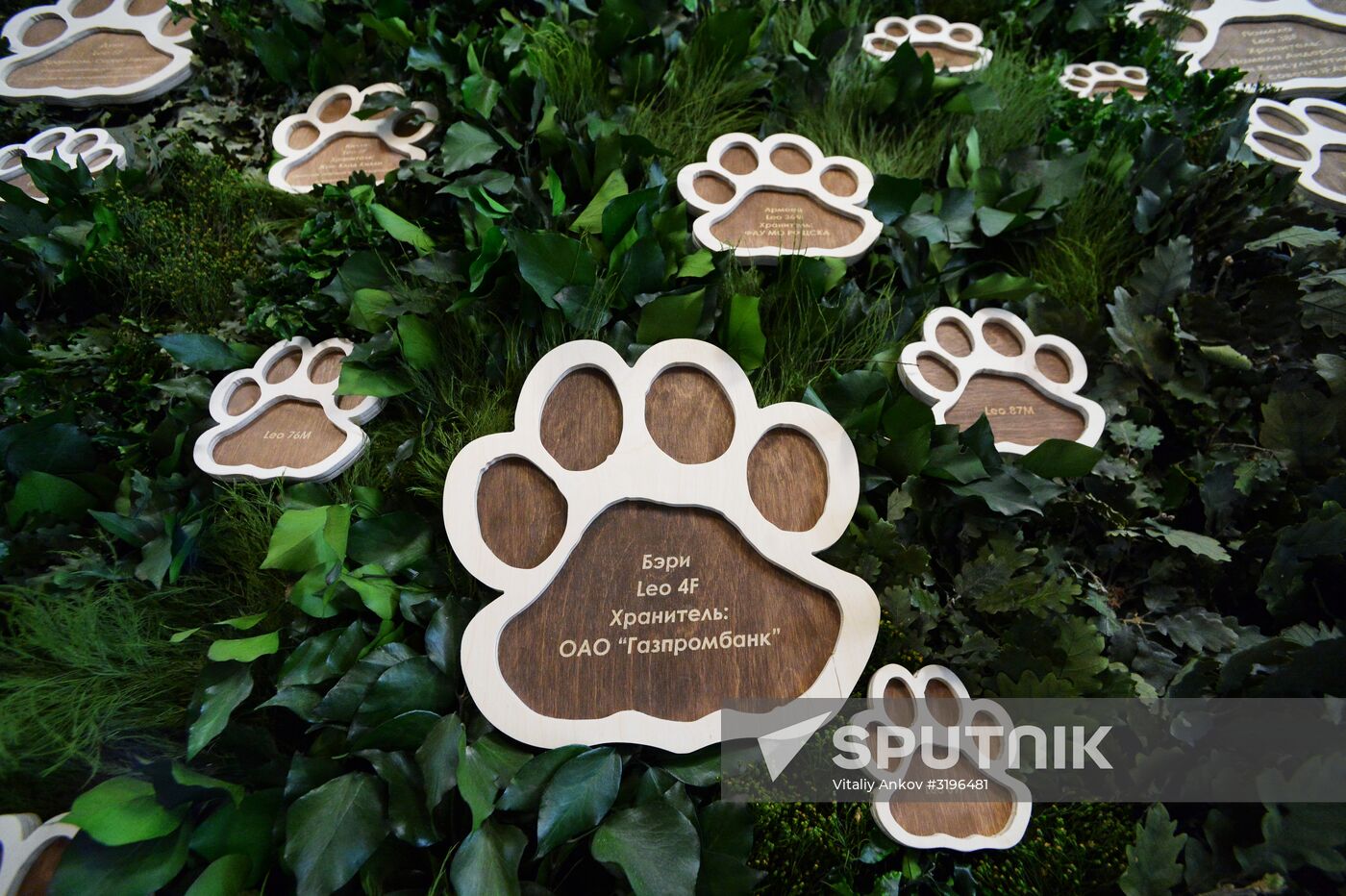Opening of the central estate of Land of the Leopard Park in Primorye Territory