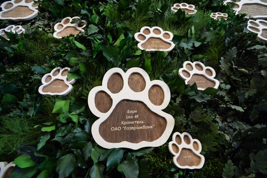 Opening of the central estate of Land of the Leopard Park in Primorye Territory
