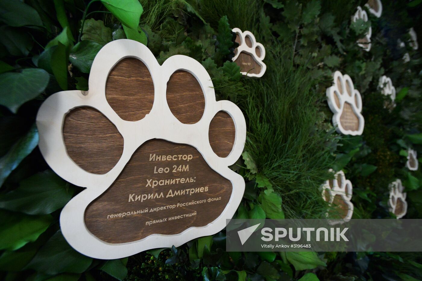 Opening of the central estate of Land of the Leopard Park in Primorye Territory