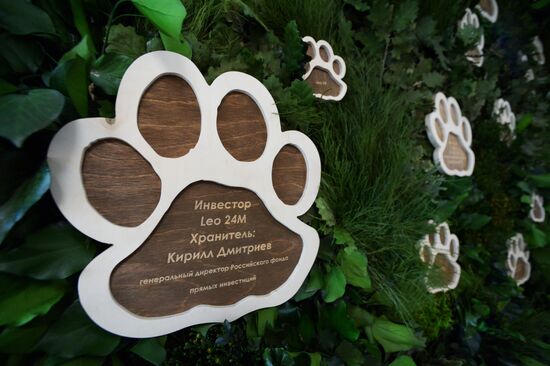 Opening of the central estate of Land of the Leopard Park in Primorye Territory