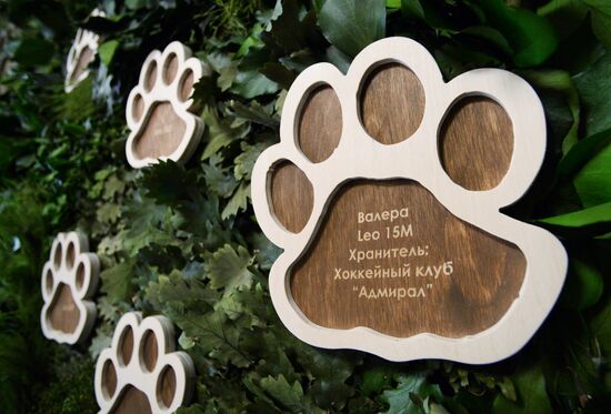 Opening of the central estate of Land of the Leopard Park in Primorye Territory