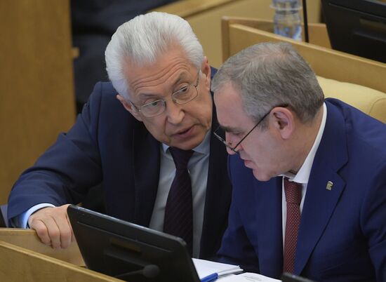 State Duma plenary session