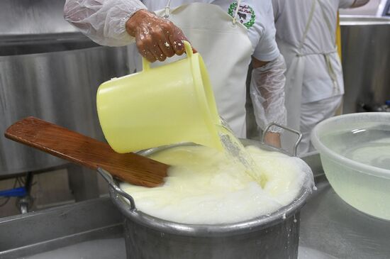 DolceLatte cheesemaking factory
