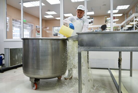 DolceLatte cheesemaking factory