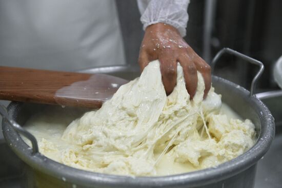 DolceLatte cheesemaking factory