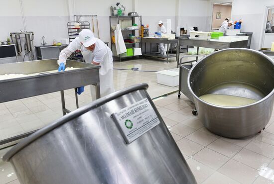 DolceLatte cheesemaking factory