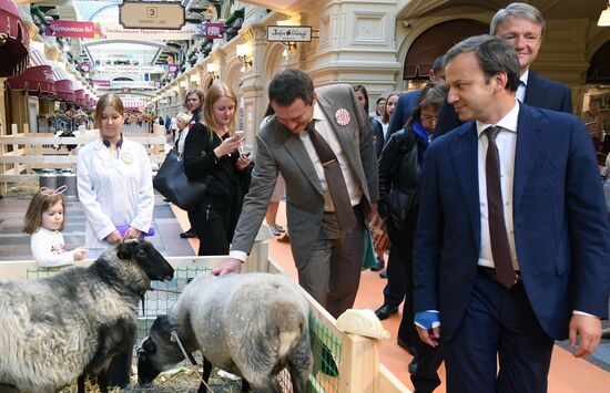 Domestic farm produce market opens in GUM store