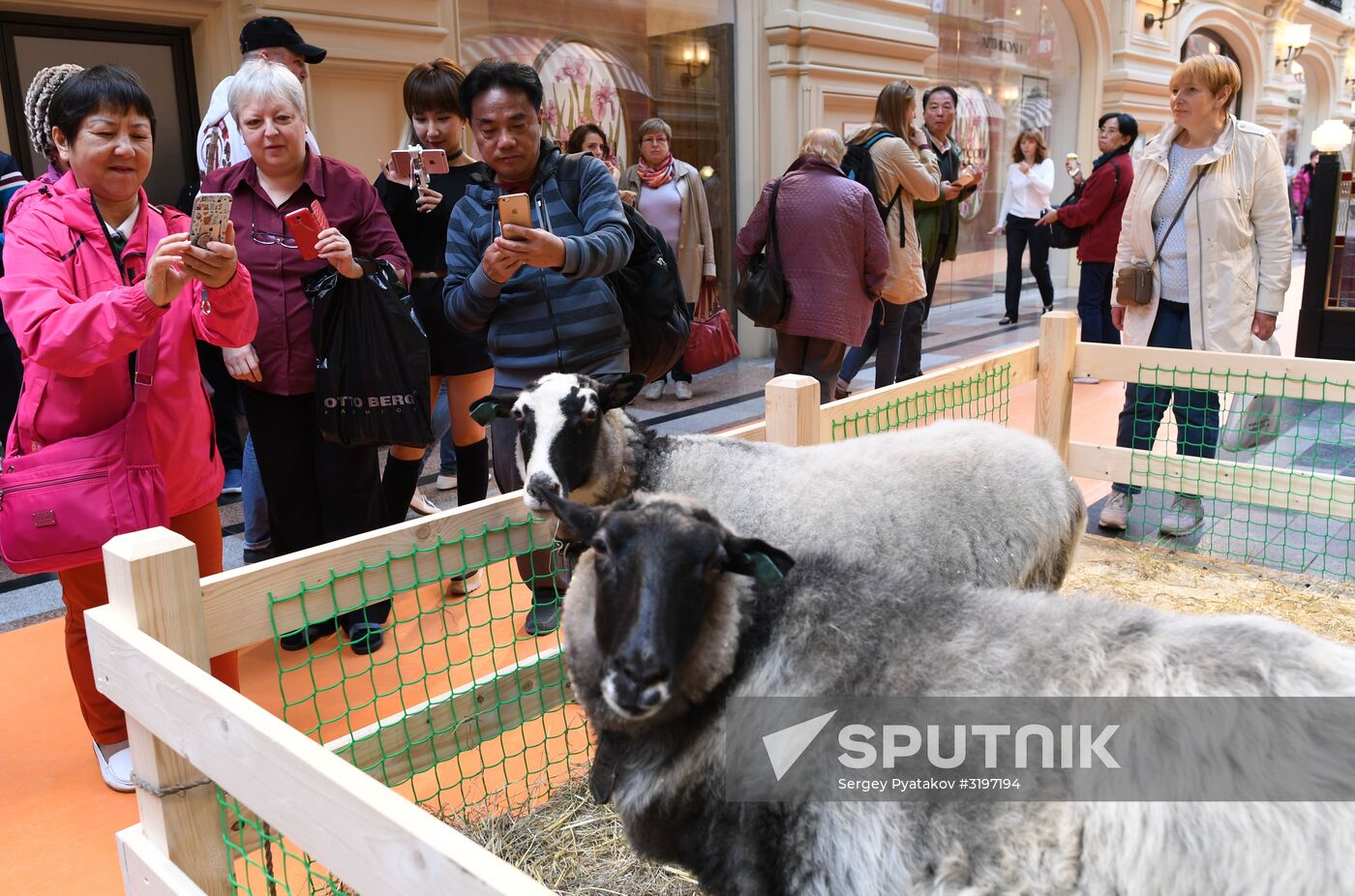 Domestic farm produce market opens in GUM store