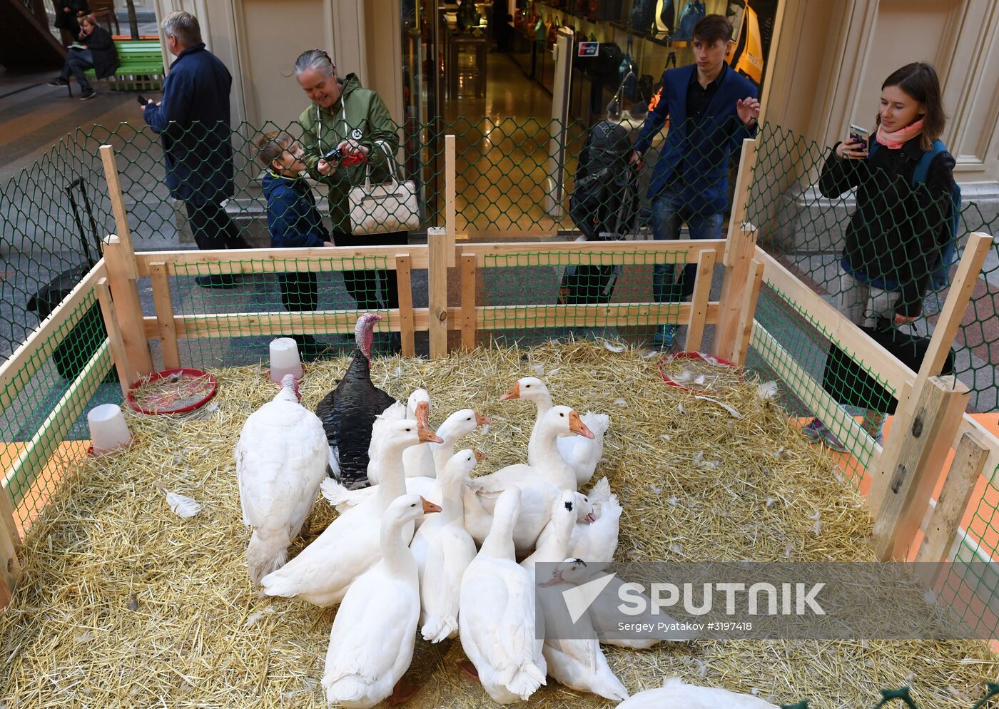 Domestic farm produce market opens in GUM store