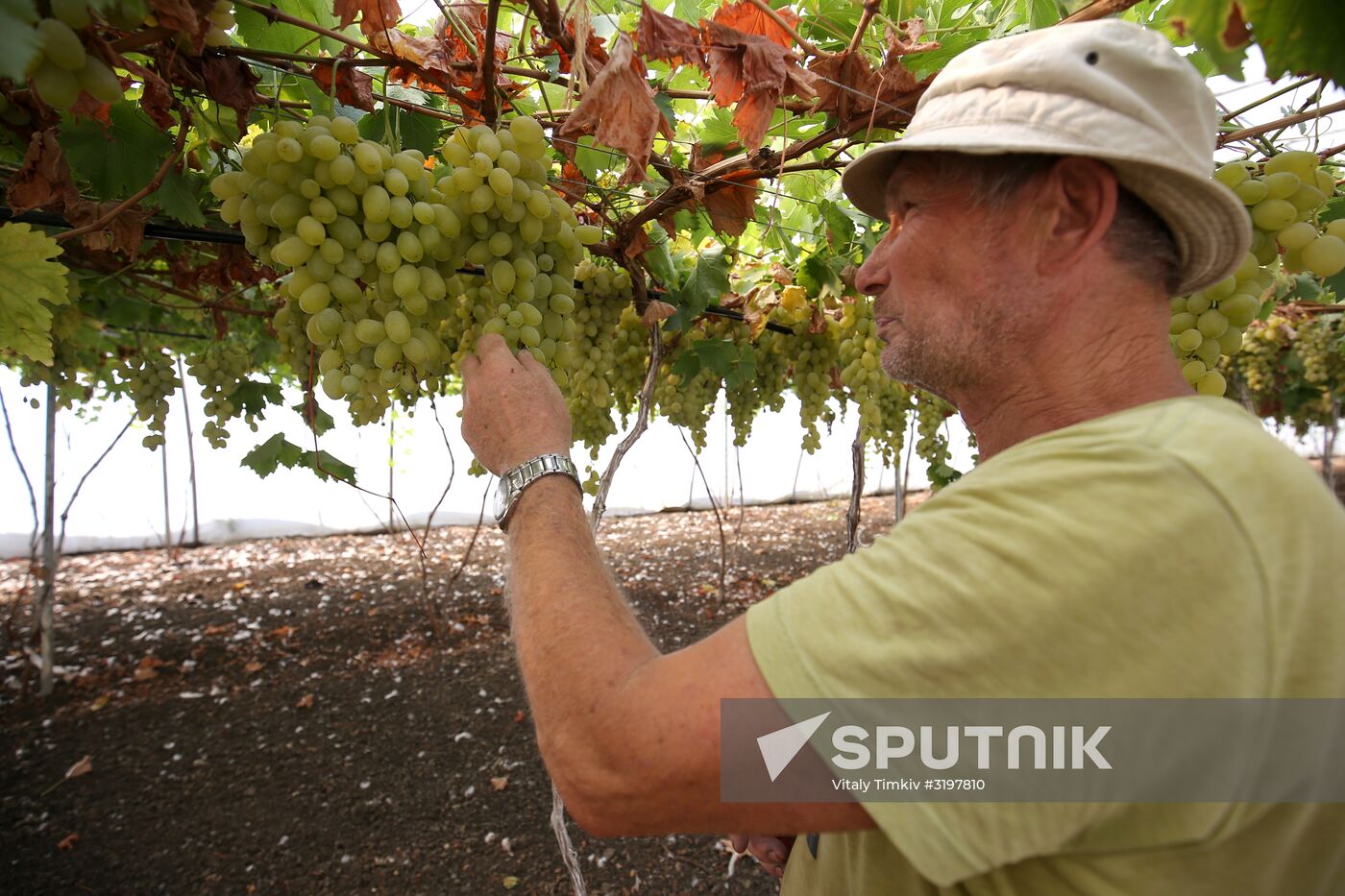 Farming in Krasnodar Territory