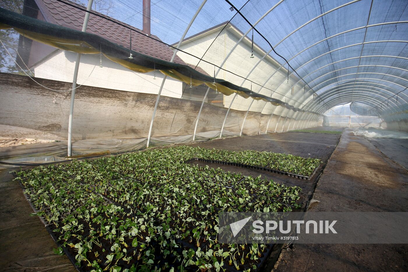 Farming in Krasnodar Territory