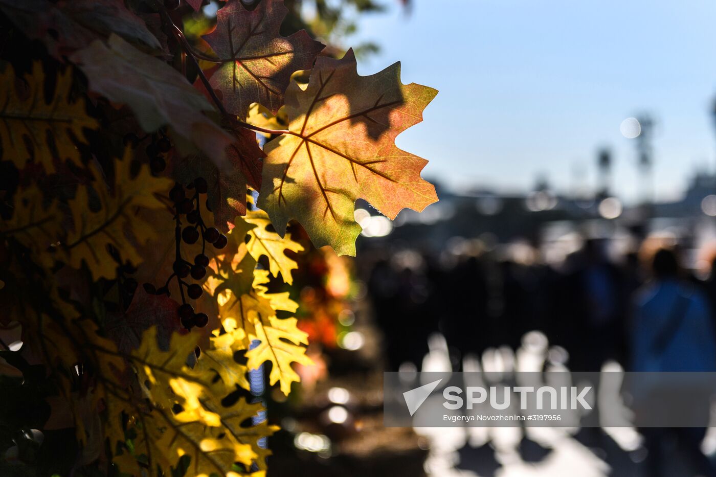Golden Fall gourmet festival in Moscow
