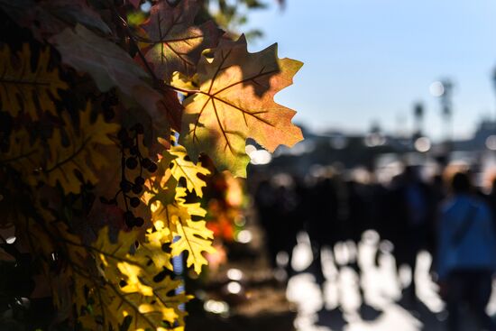 Golden Fall gourmet festival in Moscow