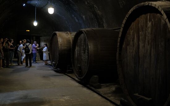 Abrau-Durso Wine Tourism Center in the Krasnodar Territory
