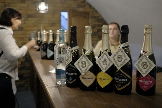 Abrau-Durso Wine Tourism Center in the Krasnodar Territory