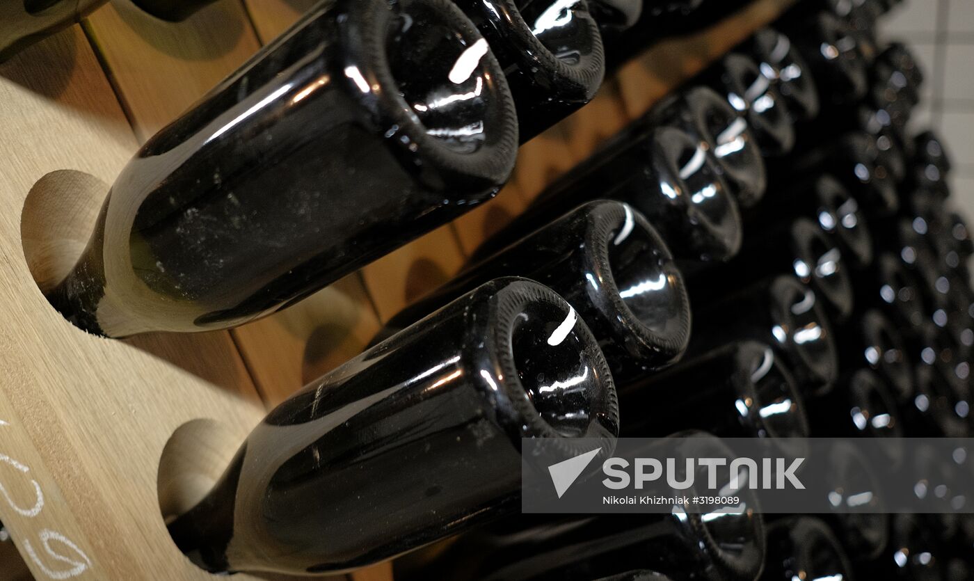Abrau-Durso Wine Tourism Center in the Krasnodar Territory