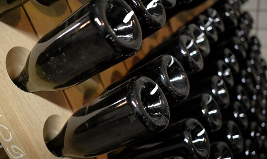 Abrau-Durso Wine Tourism Center in the Krasnodar Territory