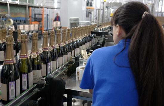 Abrau-Durso Wine Tourism Center in the Krasnodar Territory