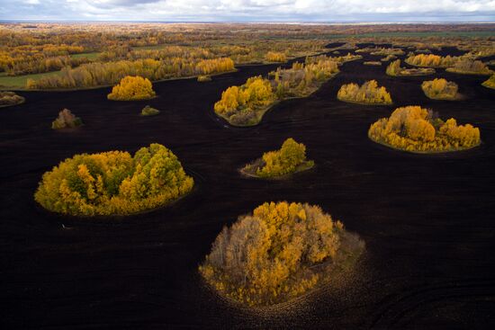 Autumn in Siberia
