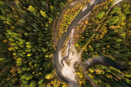 Autumn in Siberia