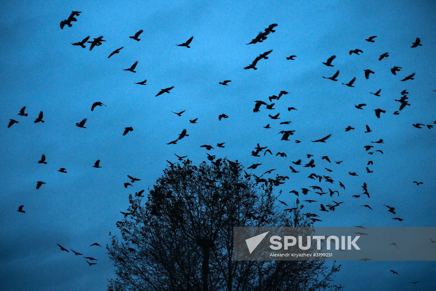 Autumn in Siberia