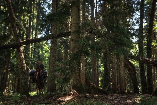 Caucasus State Nature Biosphere Reserve