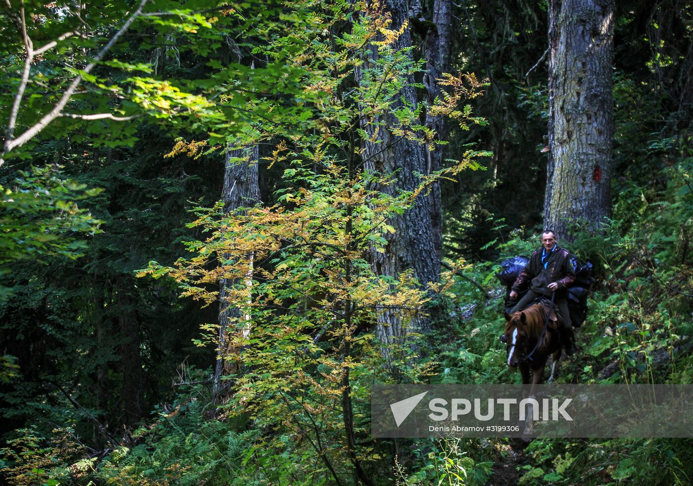 Caucasus State Nature Biosphere Reserve