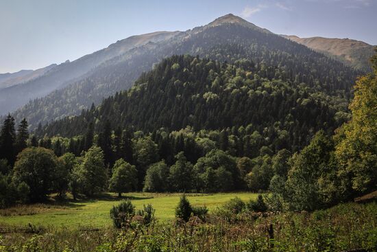 Caucasus State Nature Biosphere Reserve