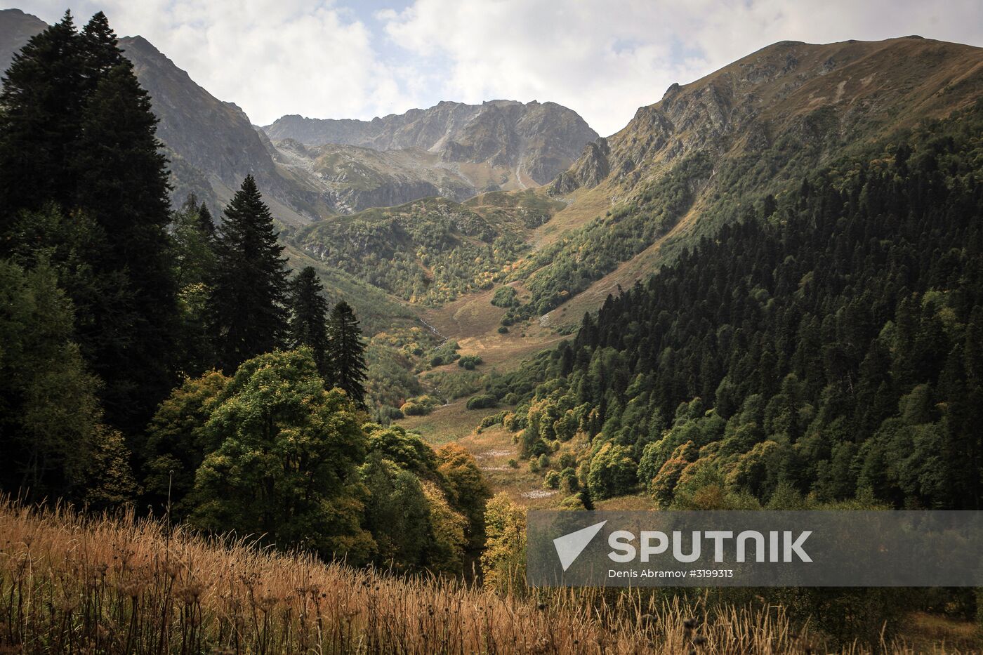 Caucasus State Nature Biosphere Reserve