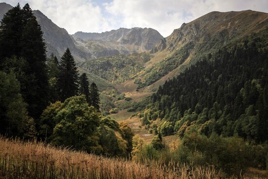 Caucasus State Nature Biosphere Reserve