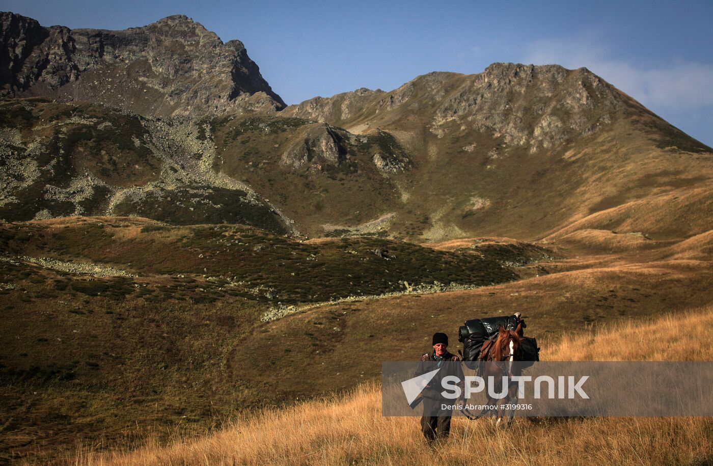 Caucasus State Nature Biosphere Reserve