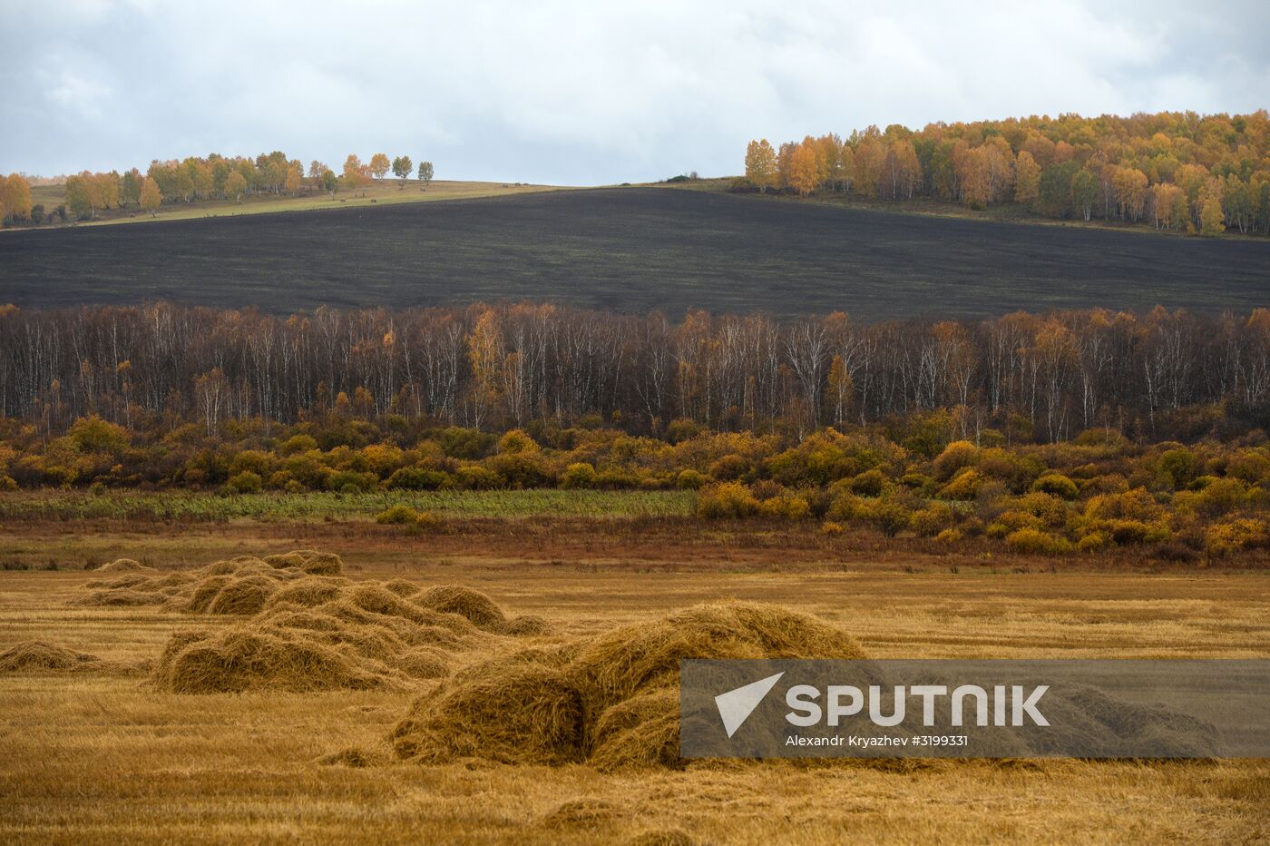 Autumn in Siberia