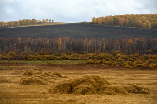 Autumn in Siberia