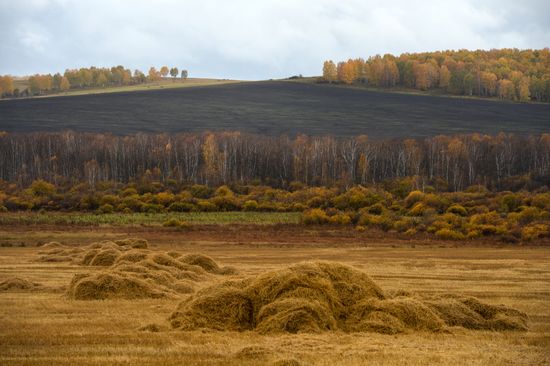 Autumn in Siberia