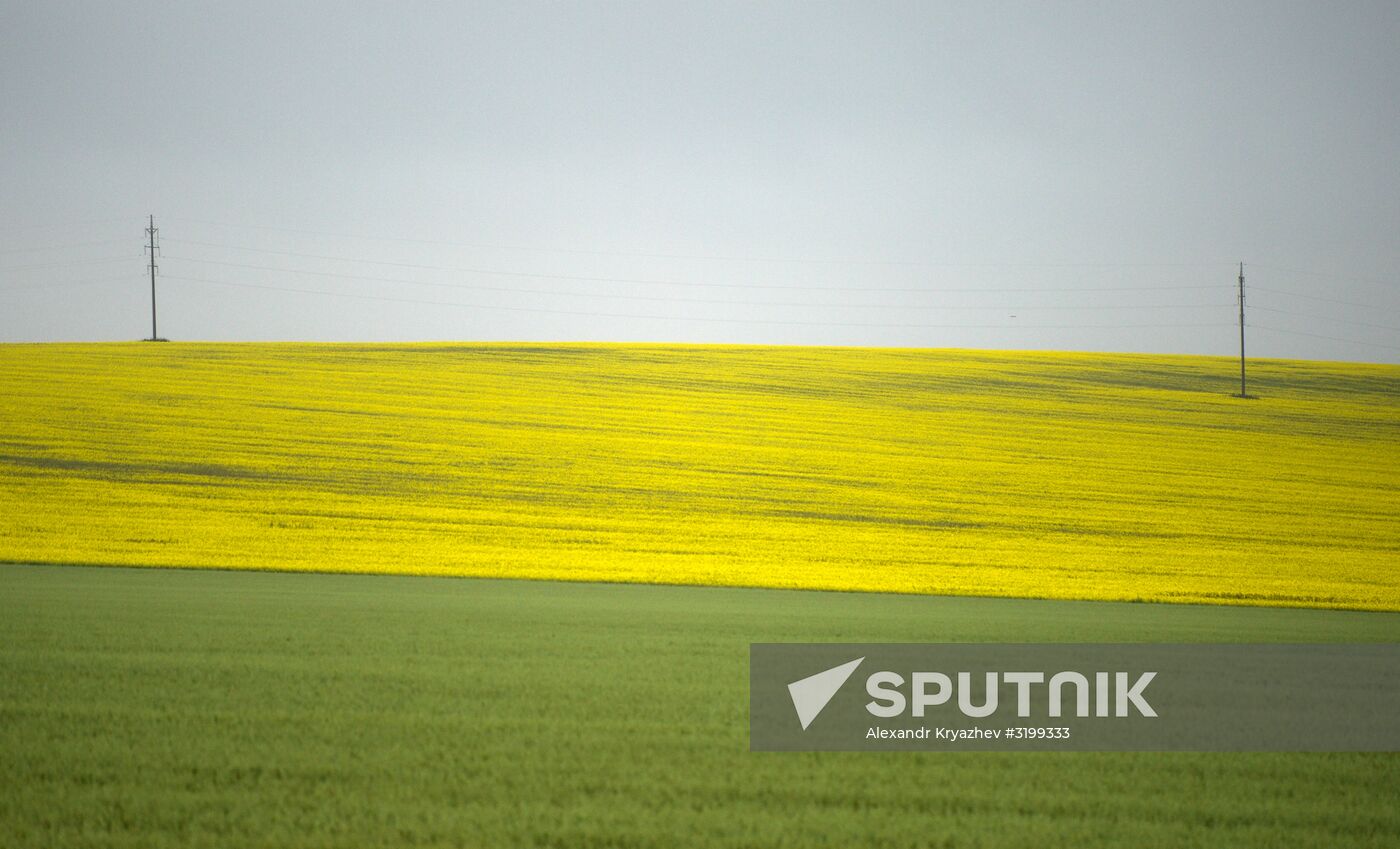 Autumn in Siberia