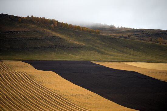 Autumn in Siberia