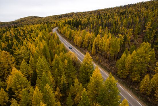 Autumn in Siberia