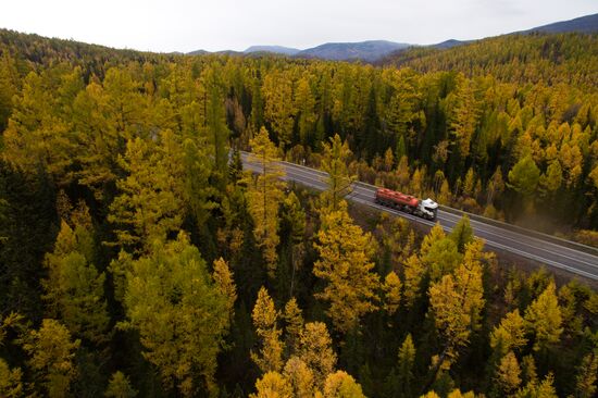 Autumn in Siberia