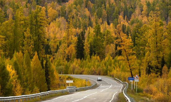 Autumn in Siberia