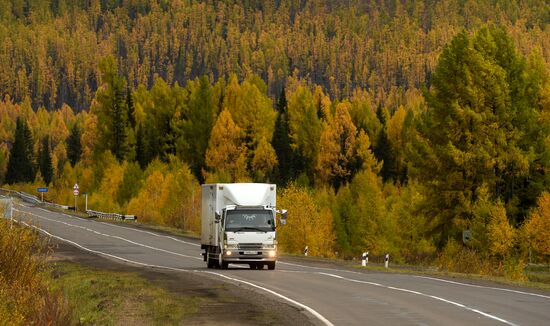 Autumn in Siberia