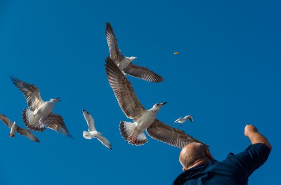 Countries of the world. Greece