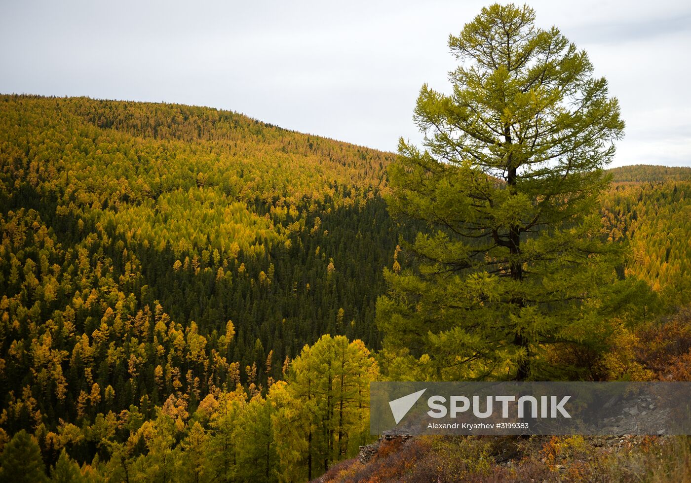 Autumn in Siberia
