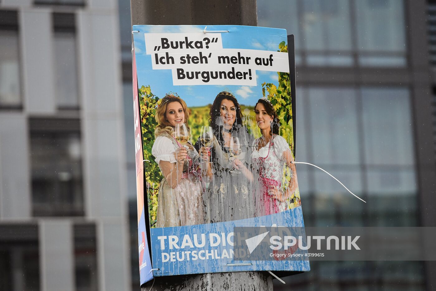 Parliamentary elections in Germany