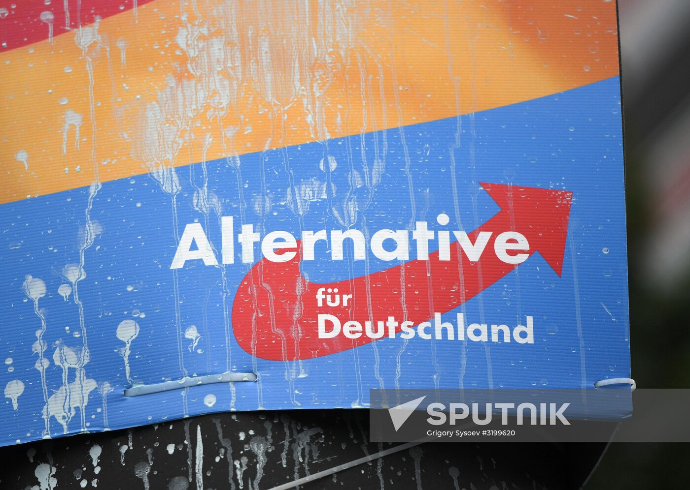 Parliamentary elections in Germany