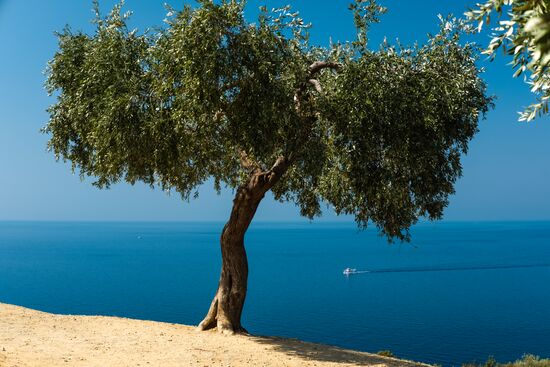 Countries of the world. Greece