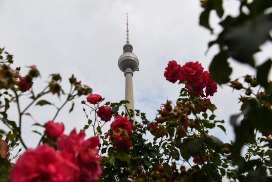 Cities of the world. Berlin