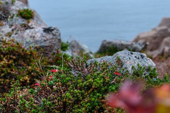 Regions of Russia. Kola Peninsula