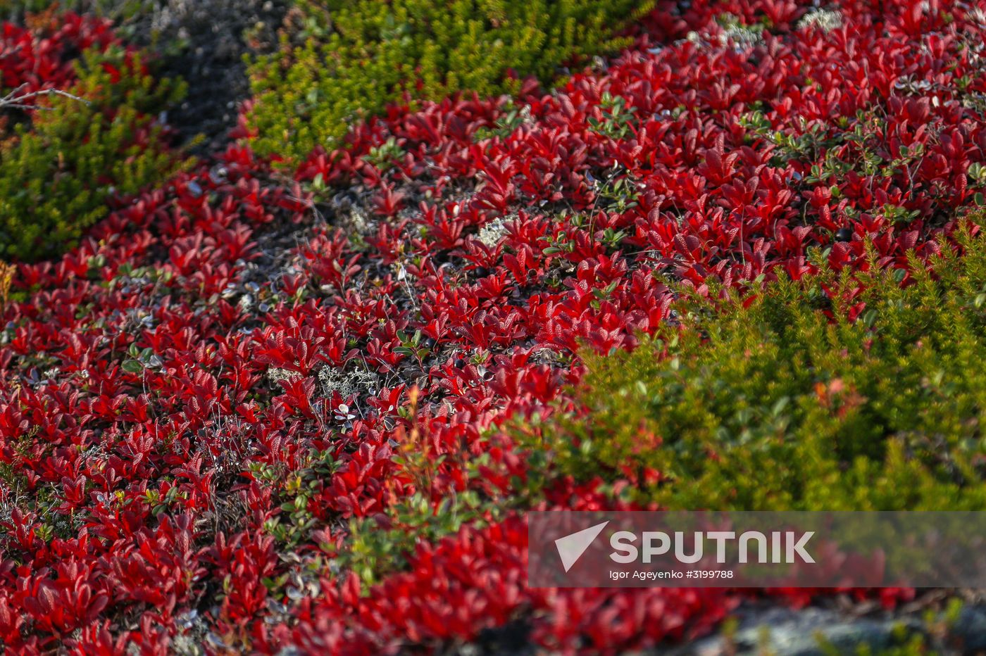 Regions of Russia. Kola Peninsula