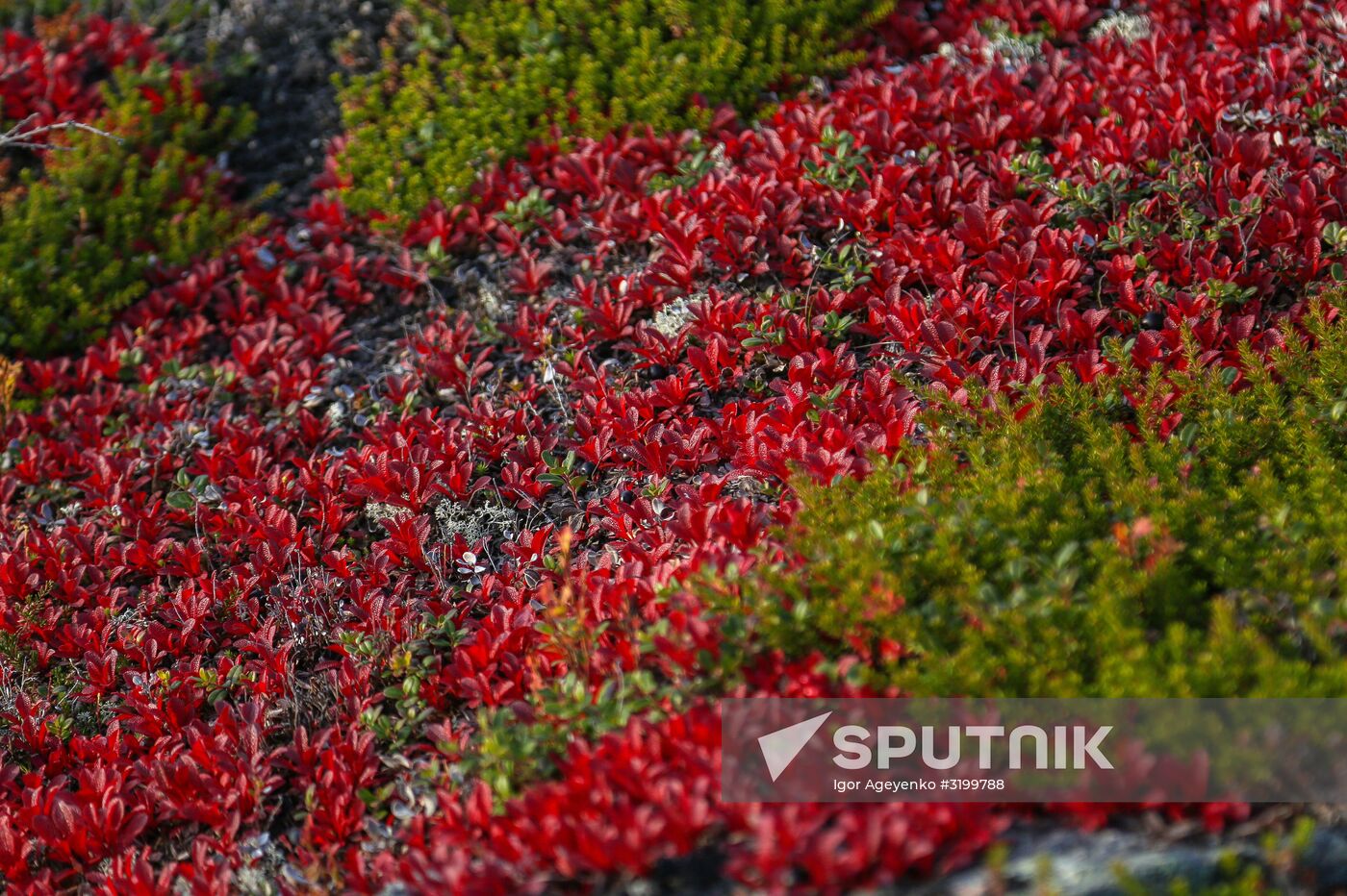 Regions of Russia. Kola Peninsula